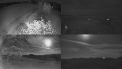 Sdružený snímek Bludný