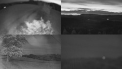 Sdružený snímek Bludný