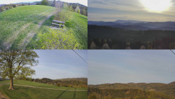 Sdružený snímek Bludný