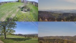 Sdružený snímek Bludný