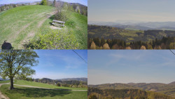 Sdružený snímek Bludný