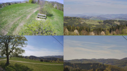 Sdružený snímek Bludný