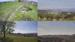 Sdružený snímek Bludný