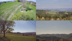 Sdružený snímek Bludný