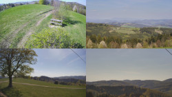 Sdružený snímek Bludný