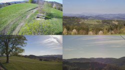 Sdružený snímek Bludný