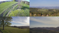 Sdružený snímek Bludný