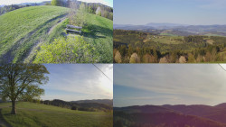 Sdružený snímek Bludný