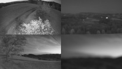 Sdružený snímek Bludný