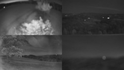 Sdružený snímek Bludný