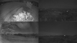 Sdružený snímek Bludný