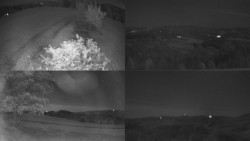 Sdružený snímek Bludný