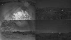 Sdružený snímek Bludný