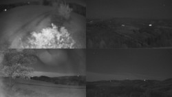 Sdružený snímek Bludný