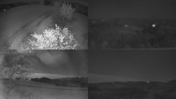 Sdružený snímek Bludný