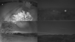 Sdružený snímek Bludný