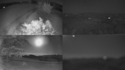 Sdružený snímek Bludný