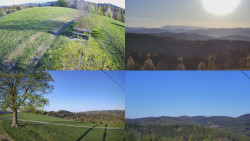 Sdružený snímek Bludný