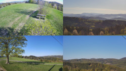 Sdružený snímek Bludný