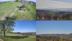 Sdružený snímek Bludný