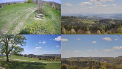 Sdružený snímek Bludný