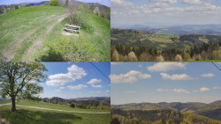 Sdružený snímek Bludný