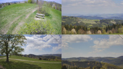 Sdružený snímek Bludný