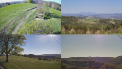 Sdružený snímek Bludný