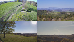 Sdružený snímek Bludný