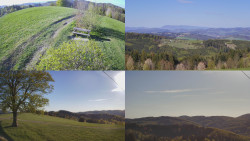 Sdružený snímek Bludný