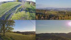 Sdružený snímek Bludný