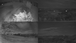 Sdružený snímek Bludný