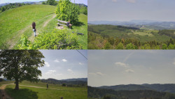 Sdružený snímek Bludný