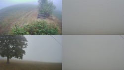 Sdružený snímek Bludný