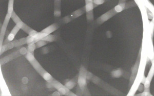 Ski Areál Opálená - Ski Areál Opálená - 5.11.2024 v 21:11 Ski Areál Opálená - Ski Areál Opálená - 5.11.2024 v 21:11