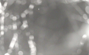 Ski Areál Opálená - Ski Areál Opálená - 7.5.2025 v 04:13 Ski Areál Opálená - Ski Areál Opálená - 7.5.2025 v 04:13