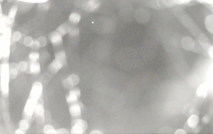 Ski Areál Opálená - Ski Areál Opálená - 7.5.2025 v 21:13 Ski Areál Opálená - Ski Areál Opálená - 7.5.2025 v 21:13