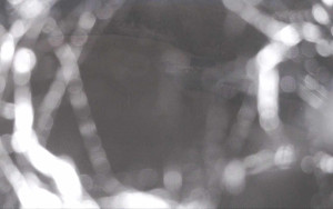 Ski Areál Opálená - Ski Areál Opálená - 21.5.2025 v 04:13 Ski Areál Opálená - Ski Areál Opálená - 21.5.2025 v 04:13