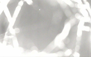 Ski Areál Opálená - Ski Areál Opálená - 21.5.2025 v 23:13 Ski Areál Opálená - Ski Areál Opálená - 21.5.2025 v 23:13