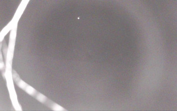 Snímek    23.10.2025 v 01:41