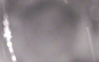 Snímek    29.10.2025 v 05:29