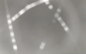 Ski Areál Opálená - Ski Areál Opálená - 29.10.2025 v 17:41 Ski Areál Opálená - Ski Areál Opálená - 29.10.2025 v 17:41