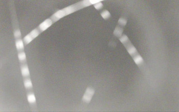 Snímek    29.10.2025 v 17:41