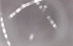 Ski Areál Opálená