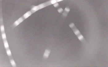 Snímek    29.10.2025 v 18:29