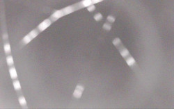 Ski Areál Opálená