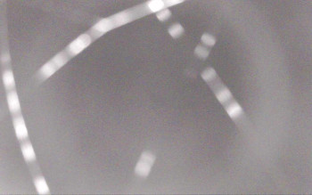 Snímek    29.10.2025 v 20:13