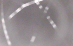 Ski Areál Opálená