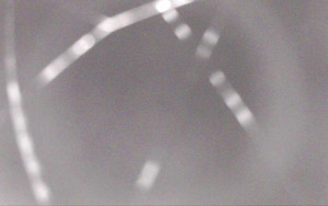 Ski Areál Opálená - Ski Areál Opálená - 29.10.2025 v 21:29 Ski Areál Opálená - Ski Areál Opálená - 29.10.2025 v 21:29