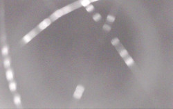 Ski Areál Opálená